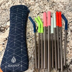 Manna Stainless Steel Straw Set with Case